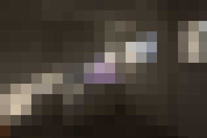  / #4