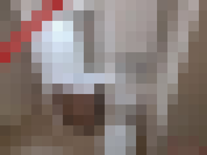  / #6
