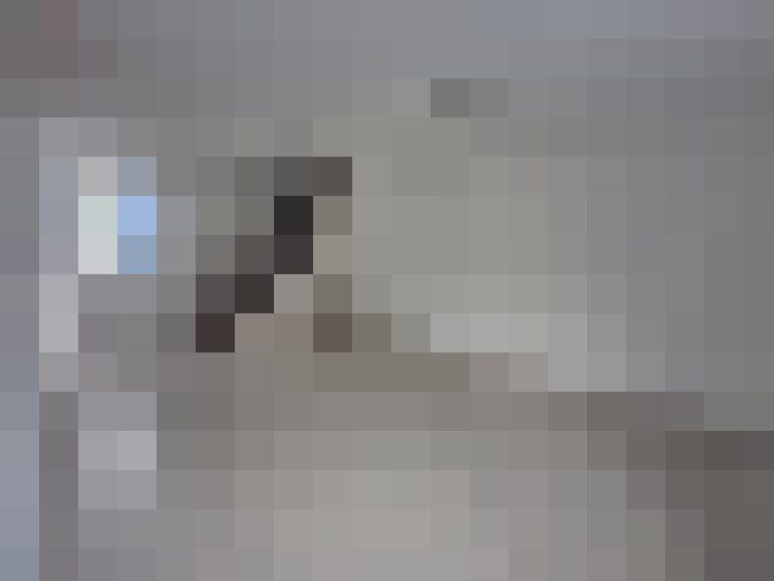  / #13