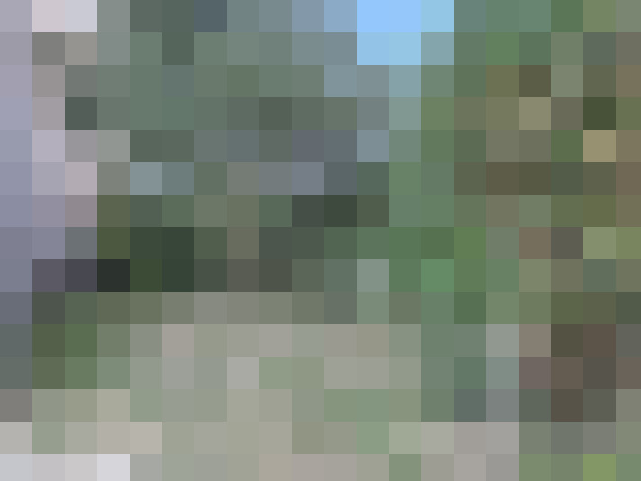  / #7