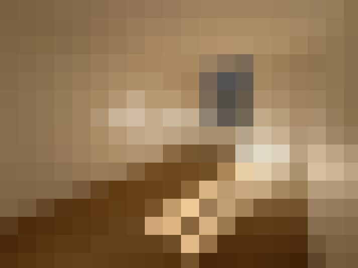  / #6