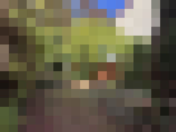  / #19