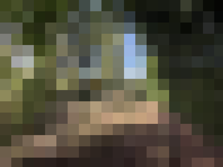  / #20