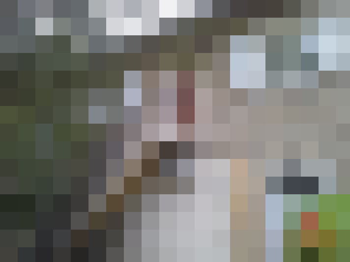  / #7