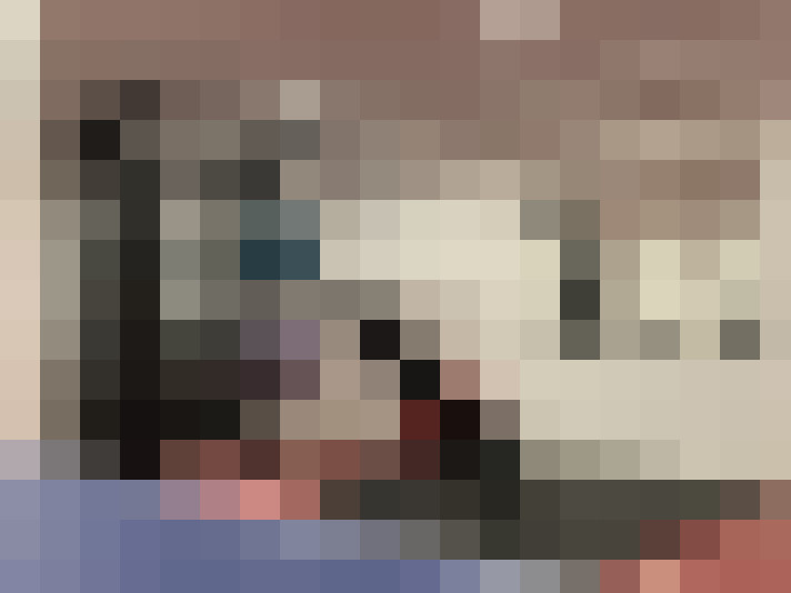  / #15