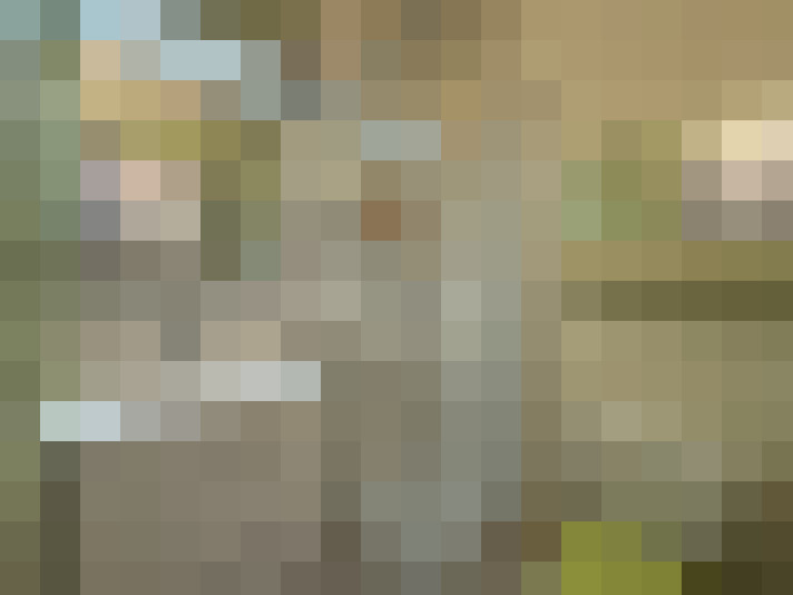  / #7