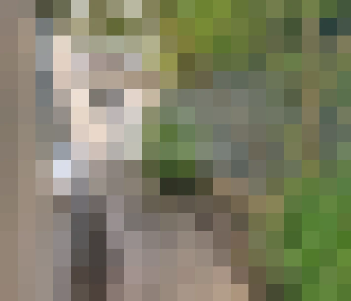  / #11
