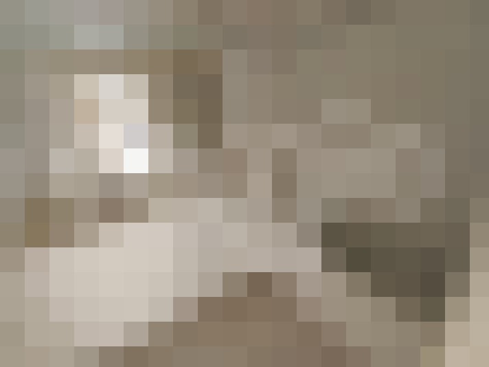  / #8