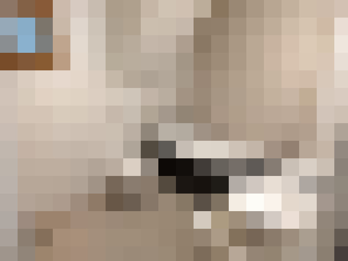  / #8