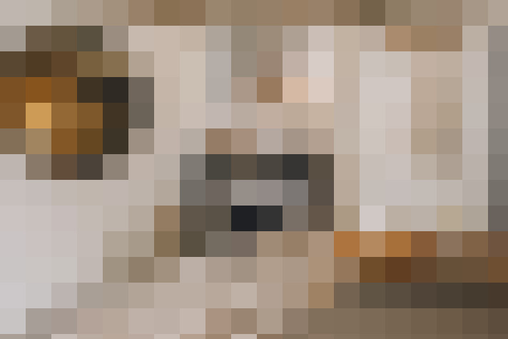  / #19