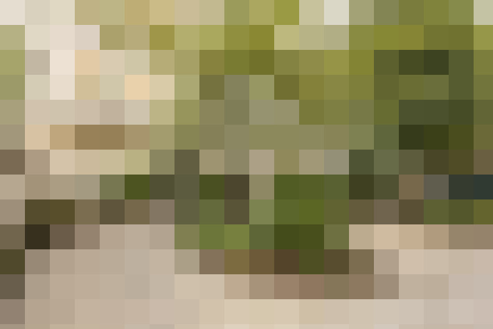  / #17