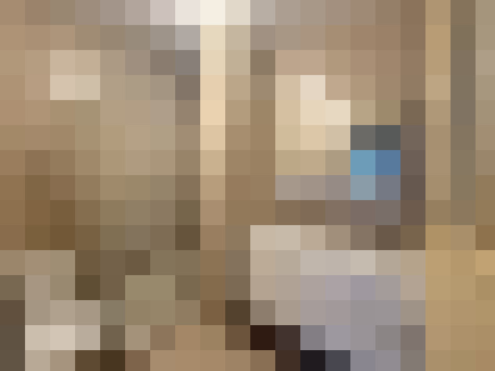  / #11