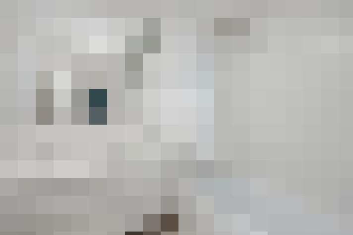  / #12
