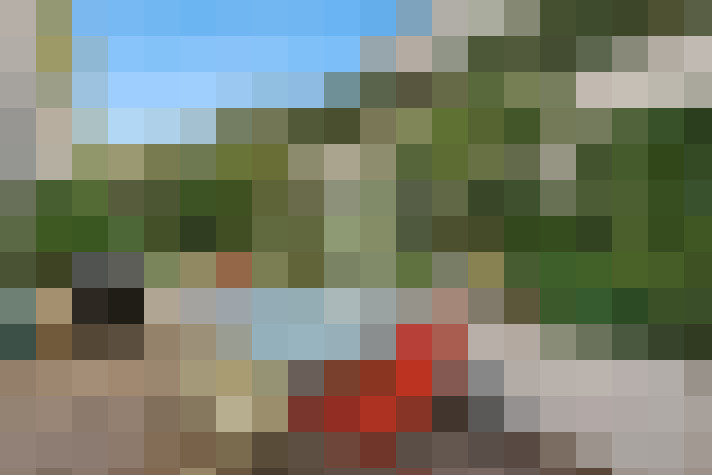  / #14