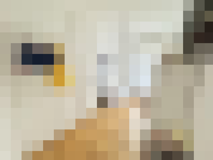  / #14