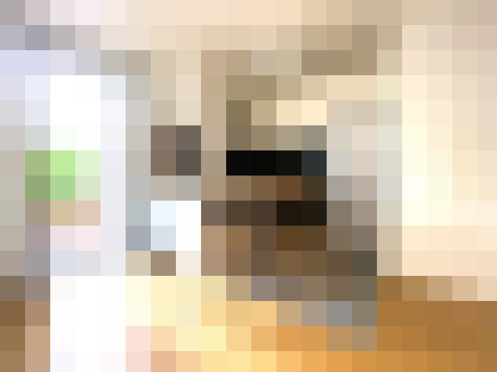  / #2