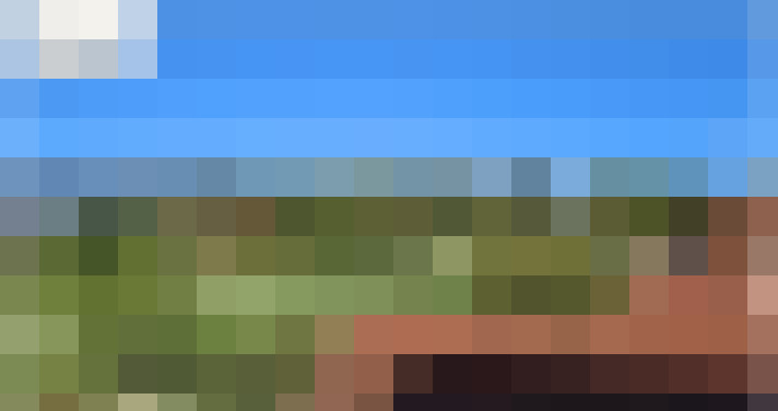  / #6