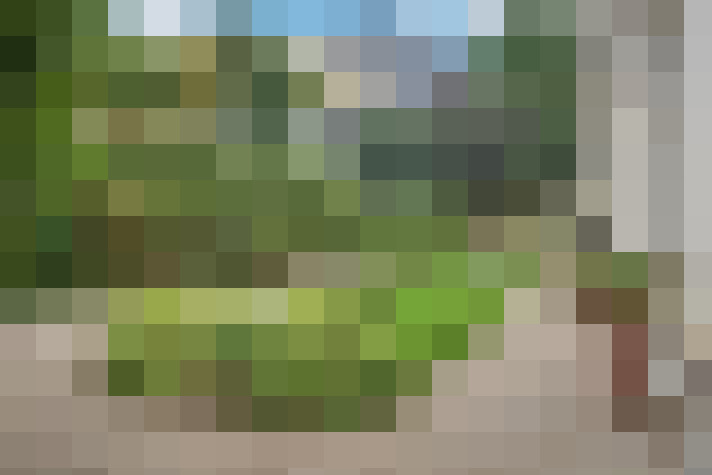  / #17