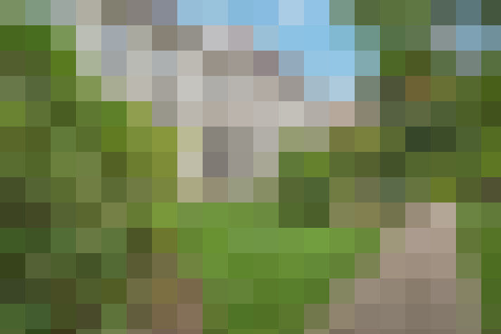  / #16
