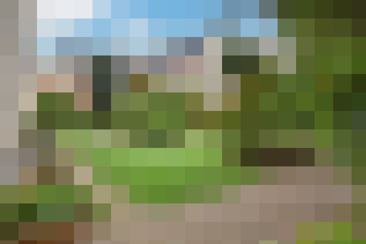  / #15