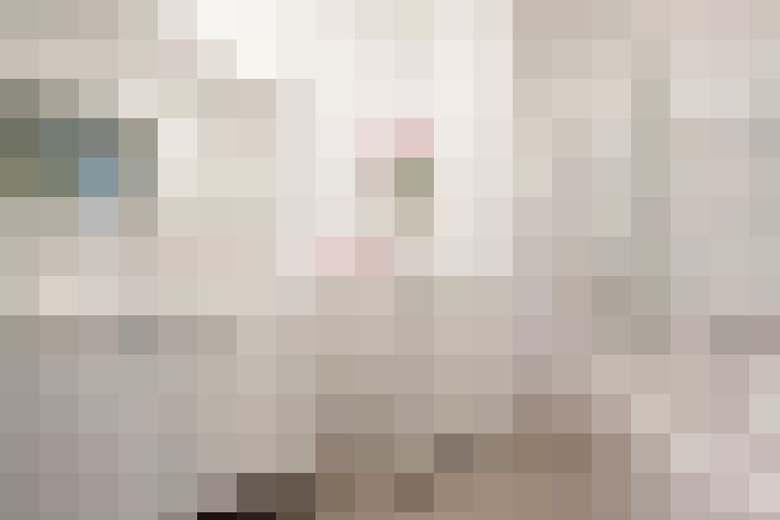  / #23