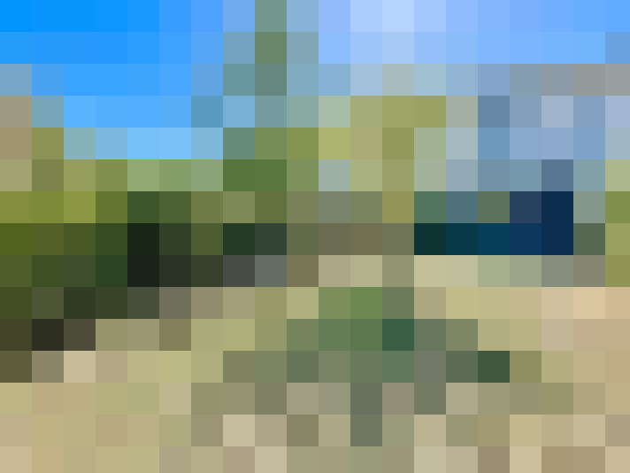  / #15