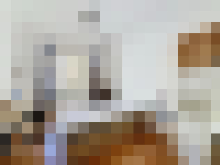 / #20