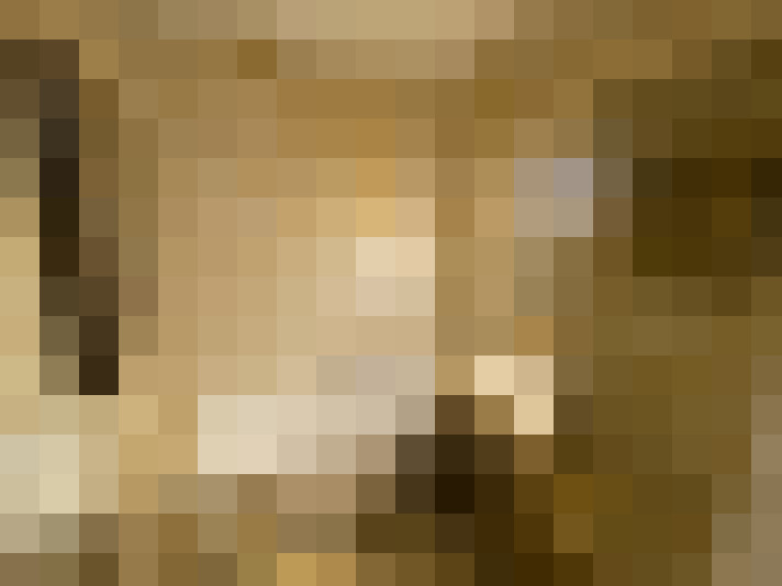  / #11