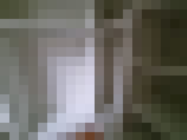  / #8