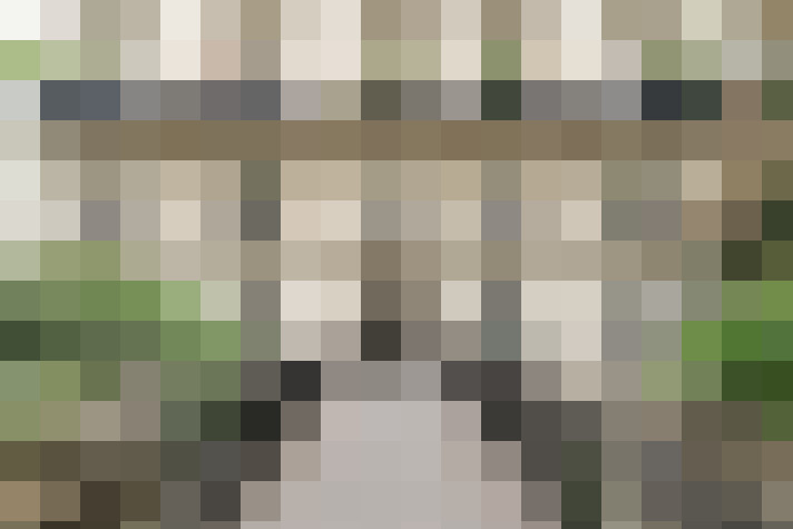  / #22