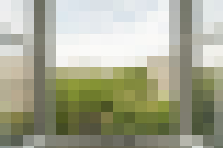  / #19