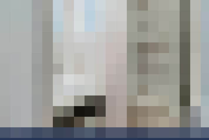  / #23