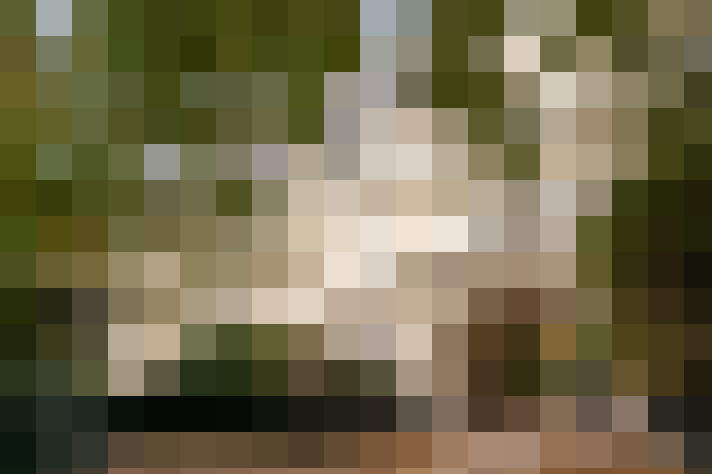  / #24