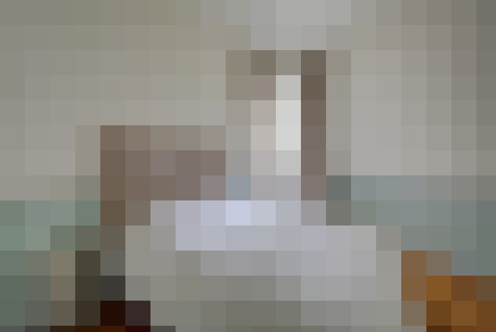  / #11
