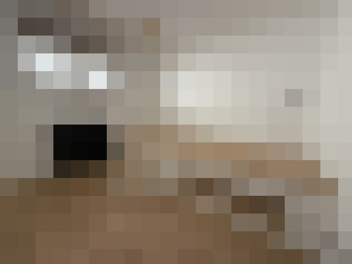  / #8
