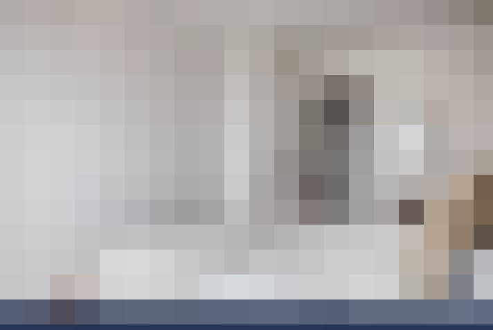  / #20