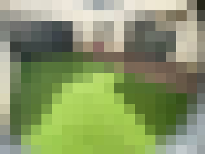  / #15