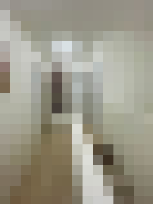  / #14