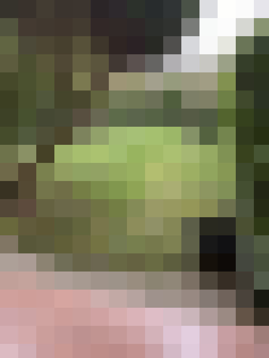  / #13