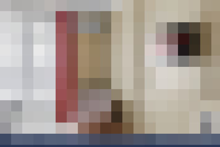  / #22