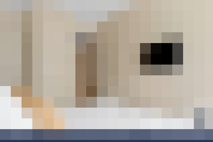  / #10