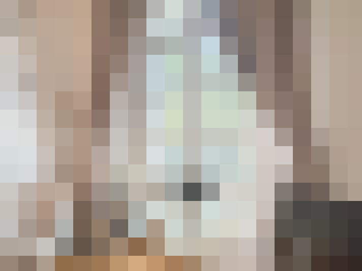  / #16