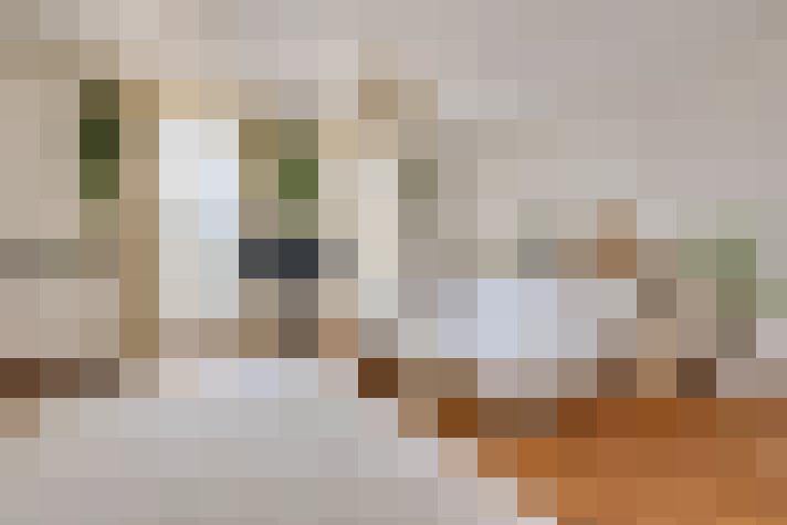  / #11