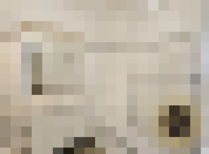  / #11