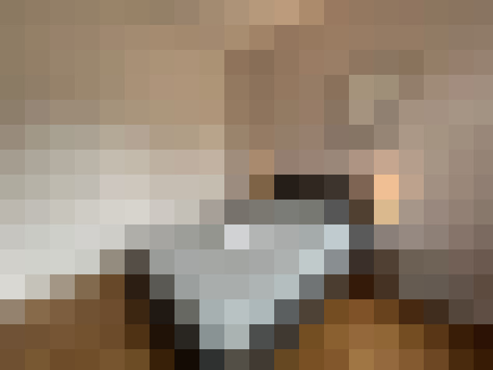  / #11