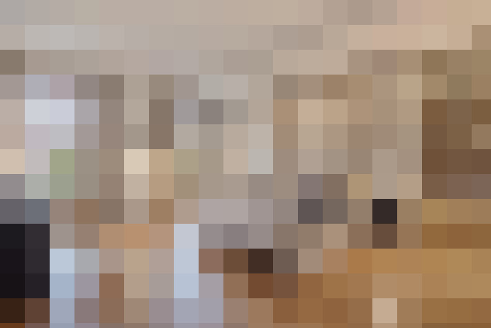  / #17
