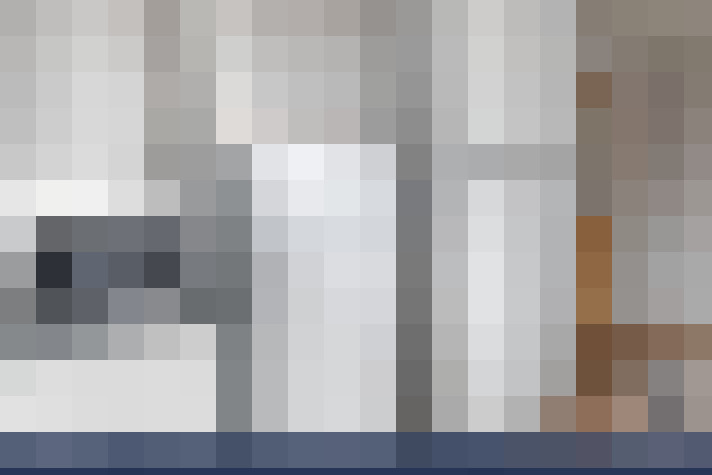  / #11
