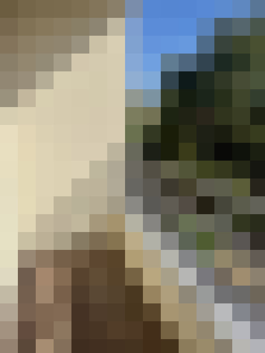  / #15