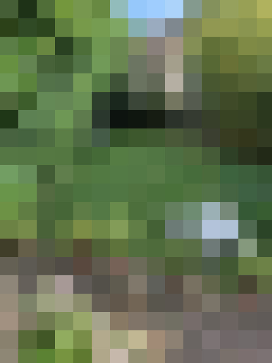  / #20
