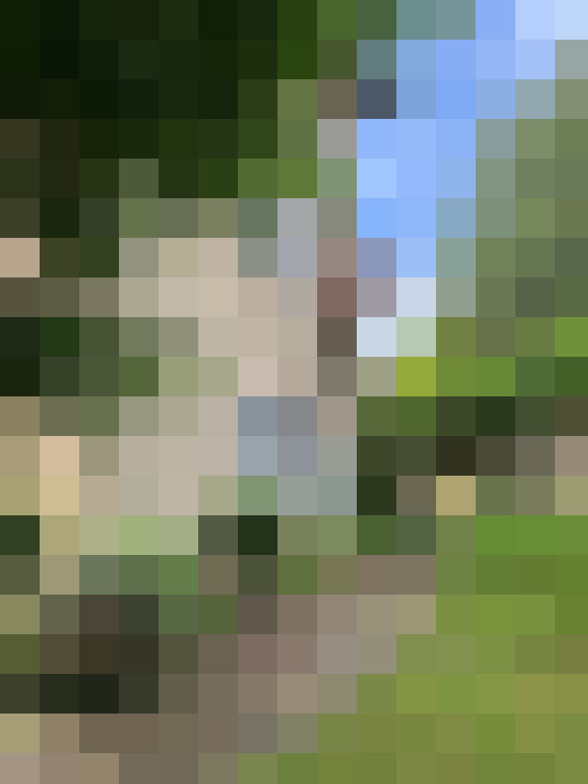  / #19